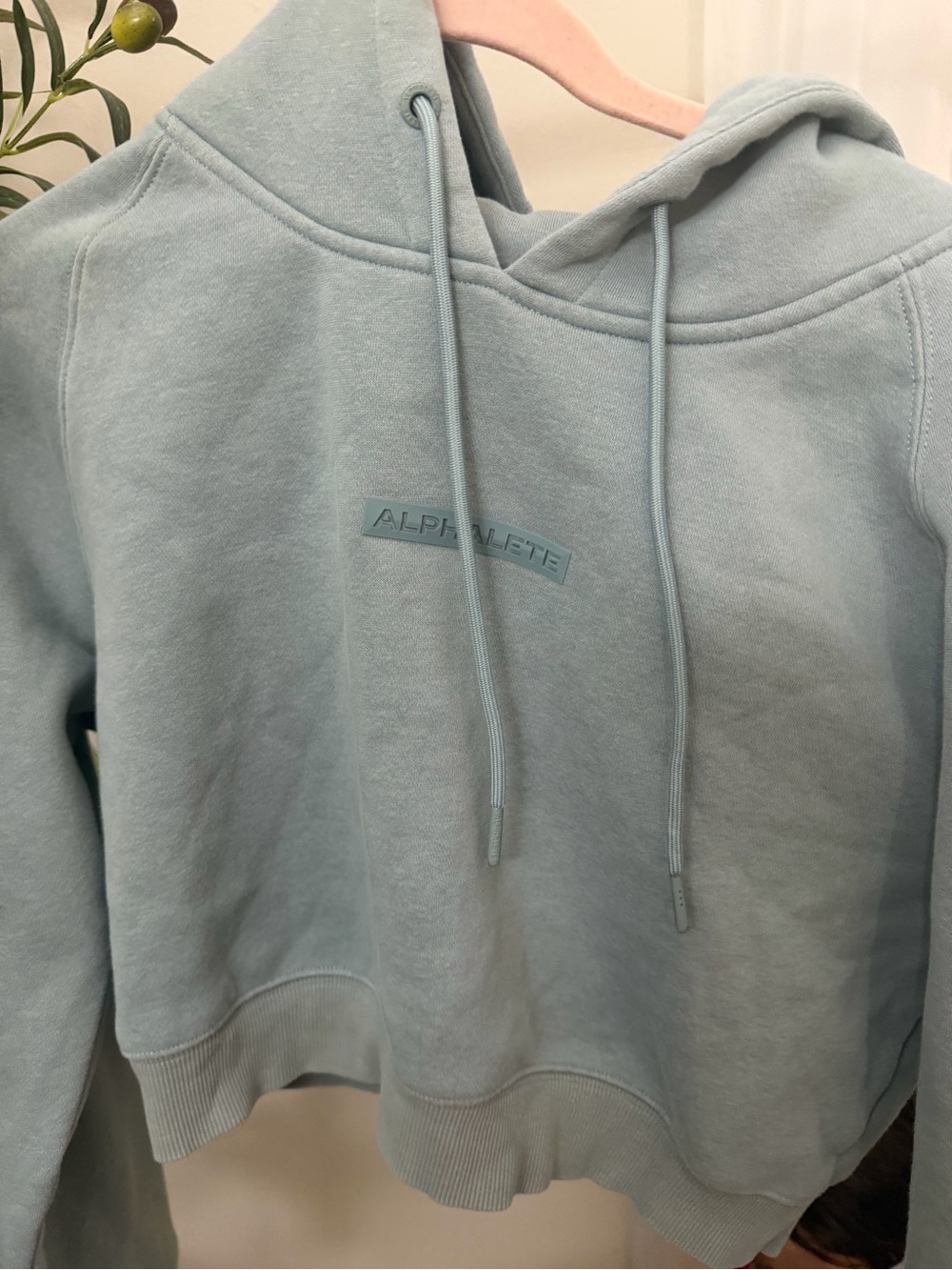 Alphalete Cropped Hoodie in Gray Medium Like New